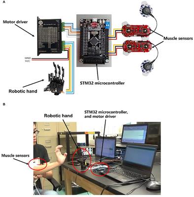 A Real-Time EMG-Based Fixed-Bandwidth Frequency-Domain Embedded System for Robotic Hand